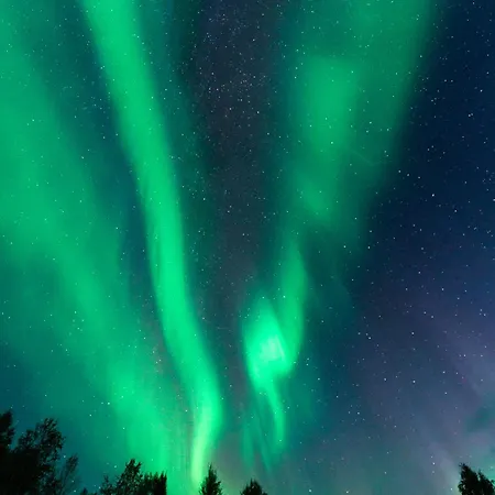 Lapland Rovaniemi